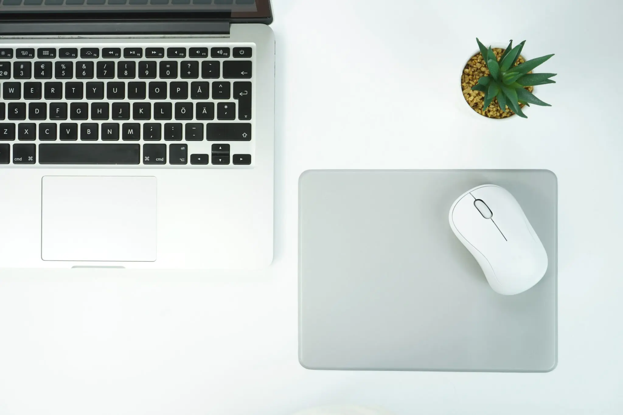 Laptop and mouse on desk with plant