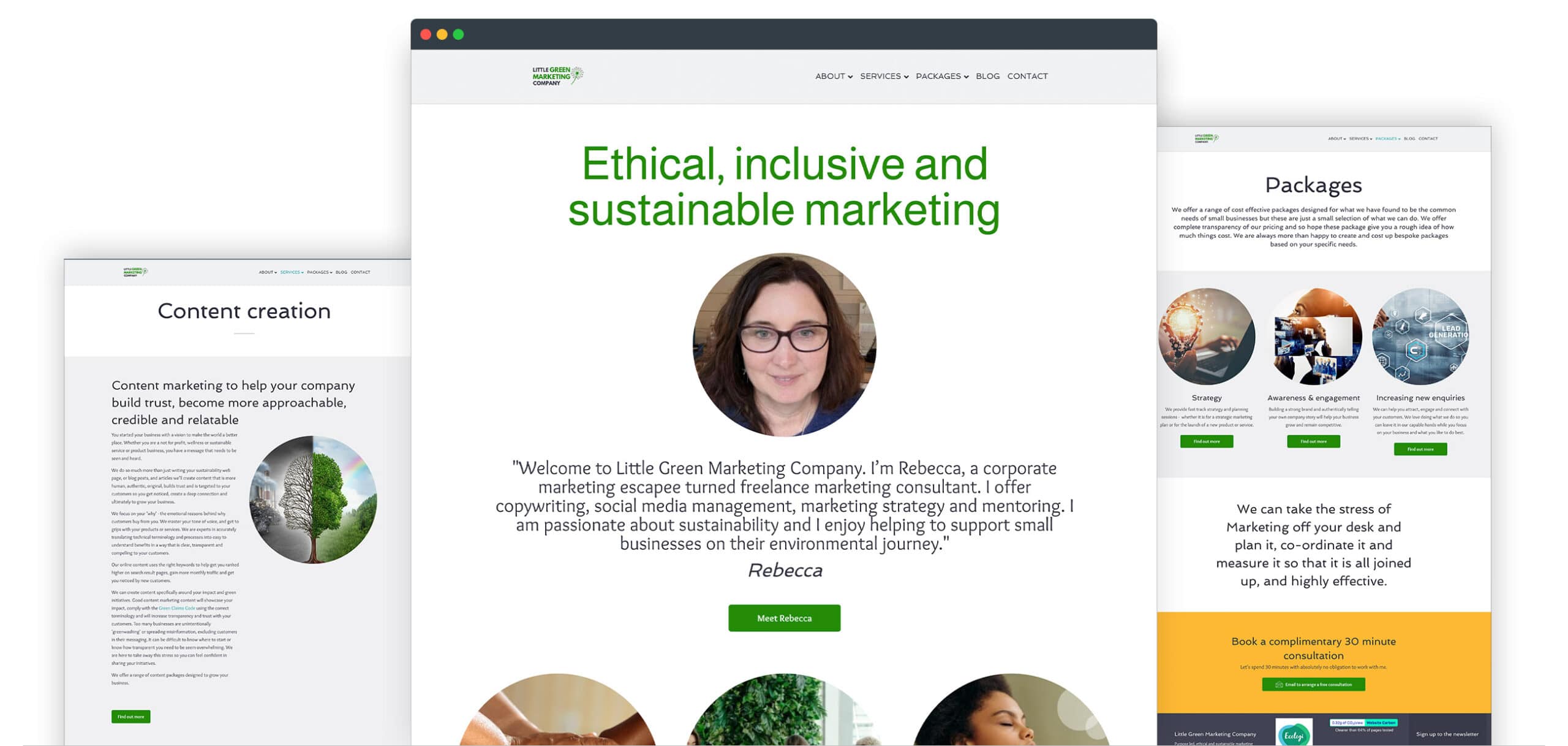 Little Green Marketing Screenshot